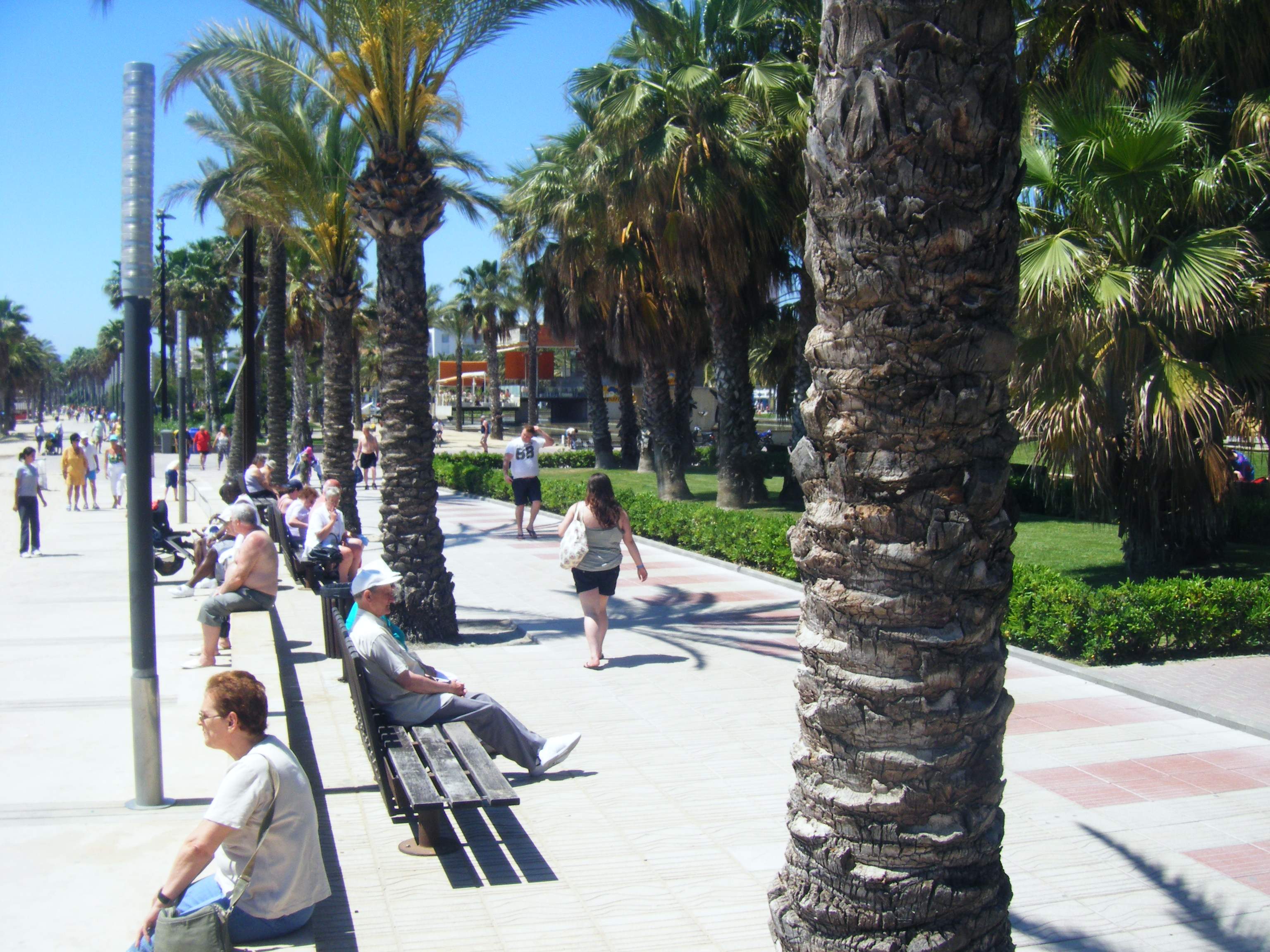 Quants jubilats estrangers viuen a Catalunya?