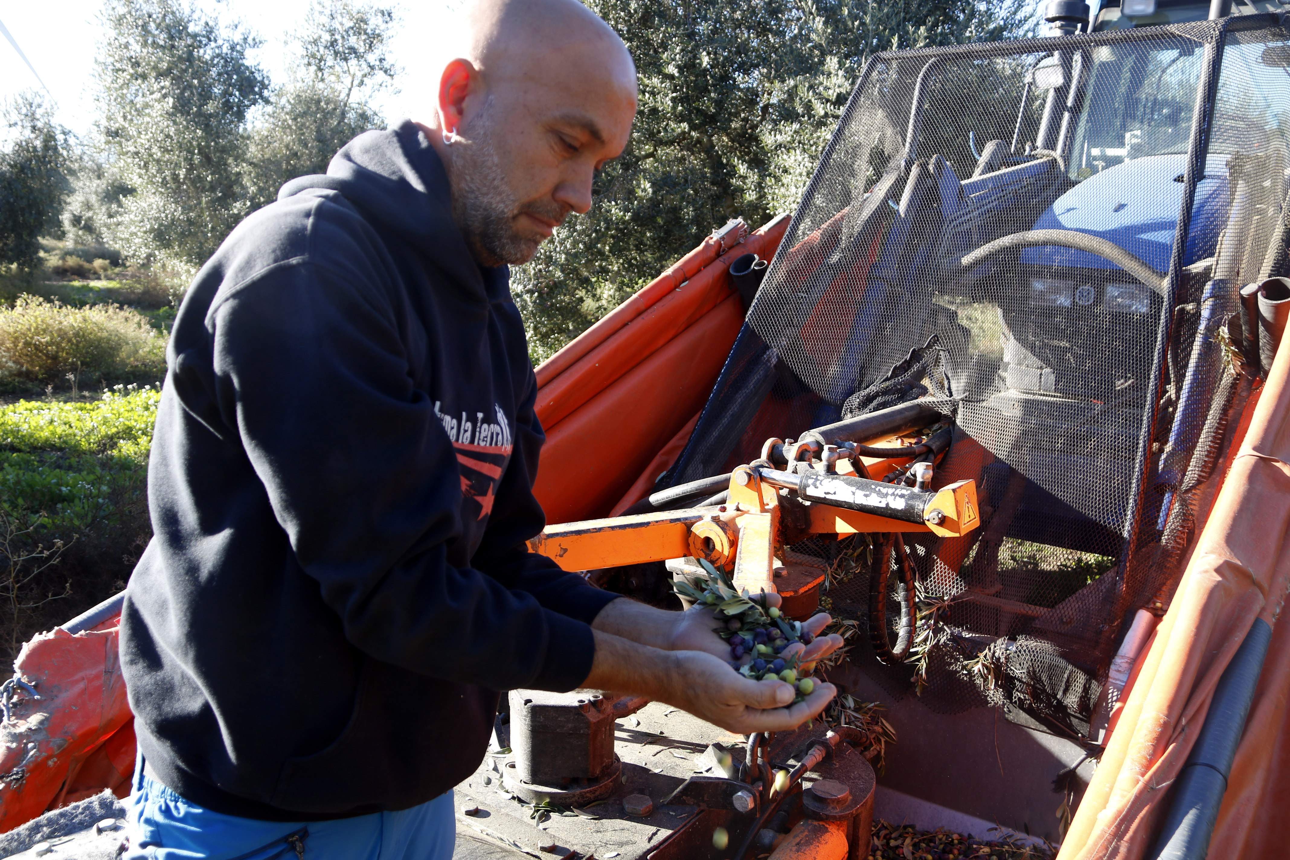 324a68a2 2f8a 468a a41d 25bc744fbff7