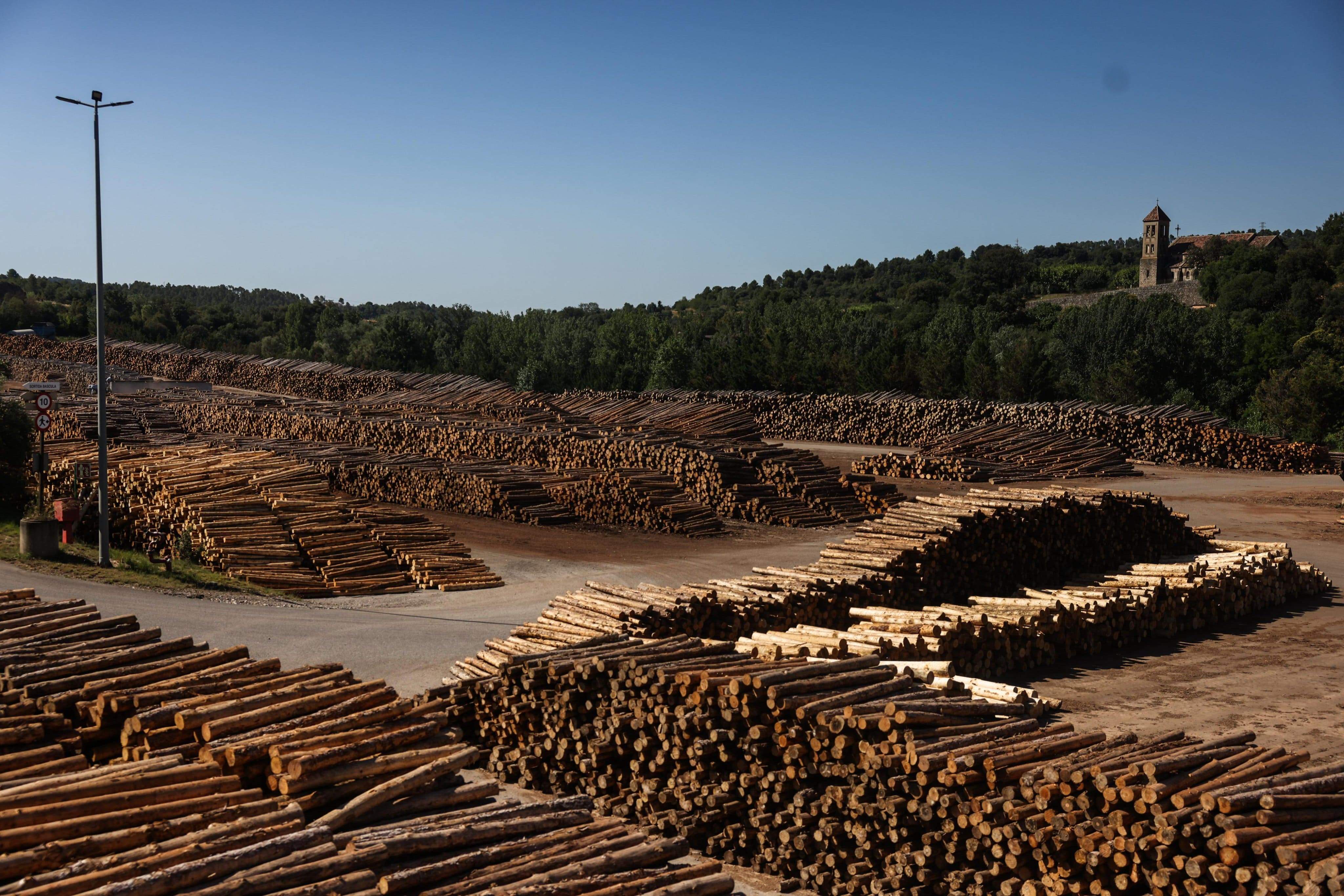 El grupo Boix y la construcción sostenible: invierte 40 millones en una fábrica de madera contralaminada