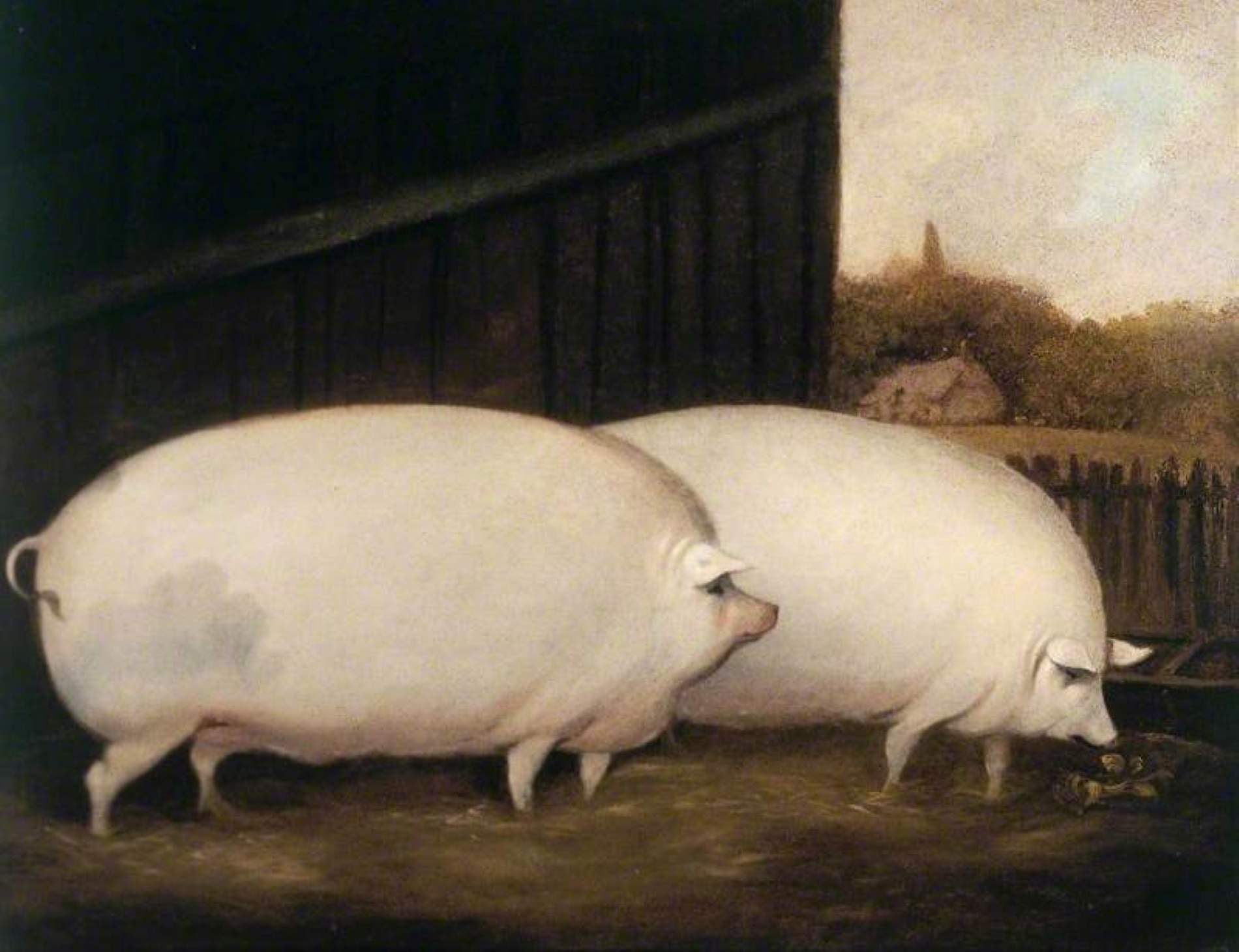 Parell porcs / Art UK, Compton Verney