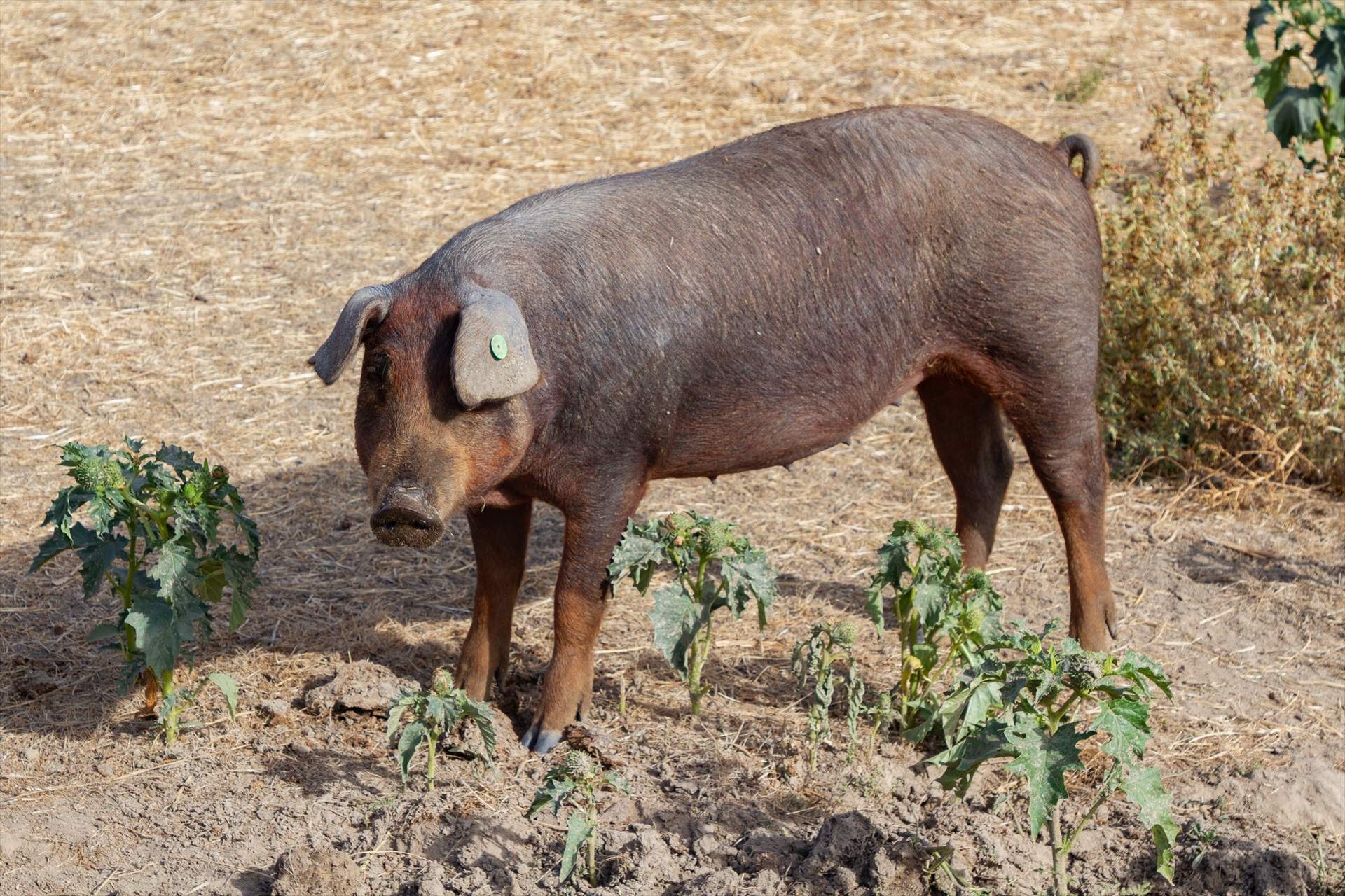 CC. OO. quiere que las ayudas se vinculen al mantenimiento del empleo