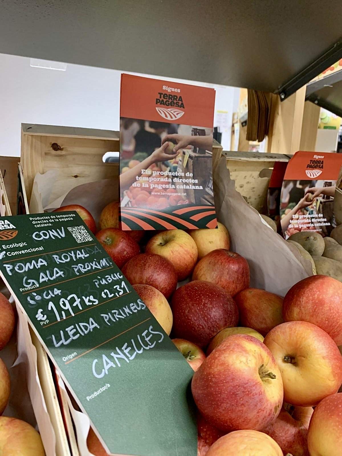 La fruita és un dels productes que comercialitza Terra Pagesa, provinent de productors de tot Catalunya