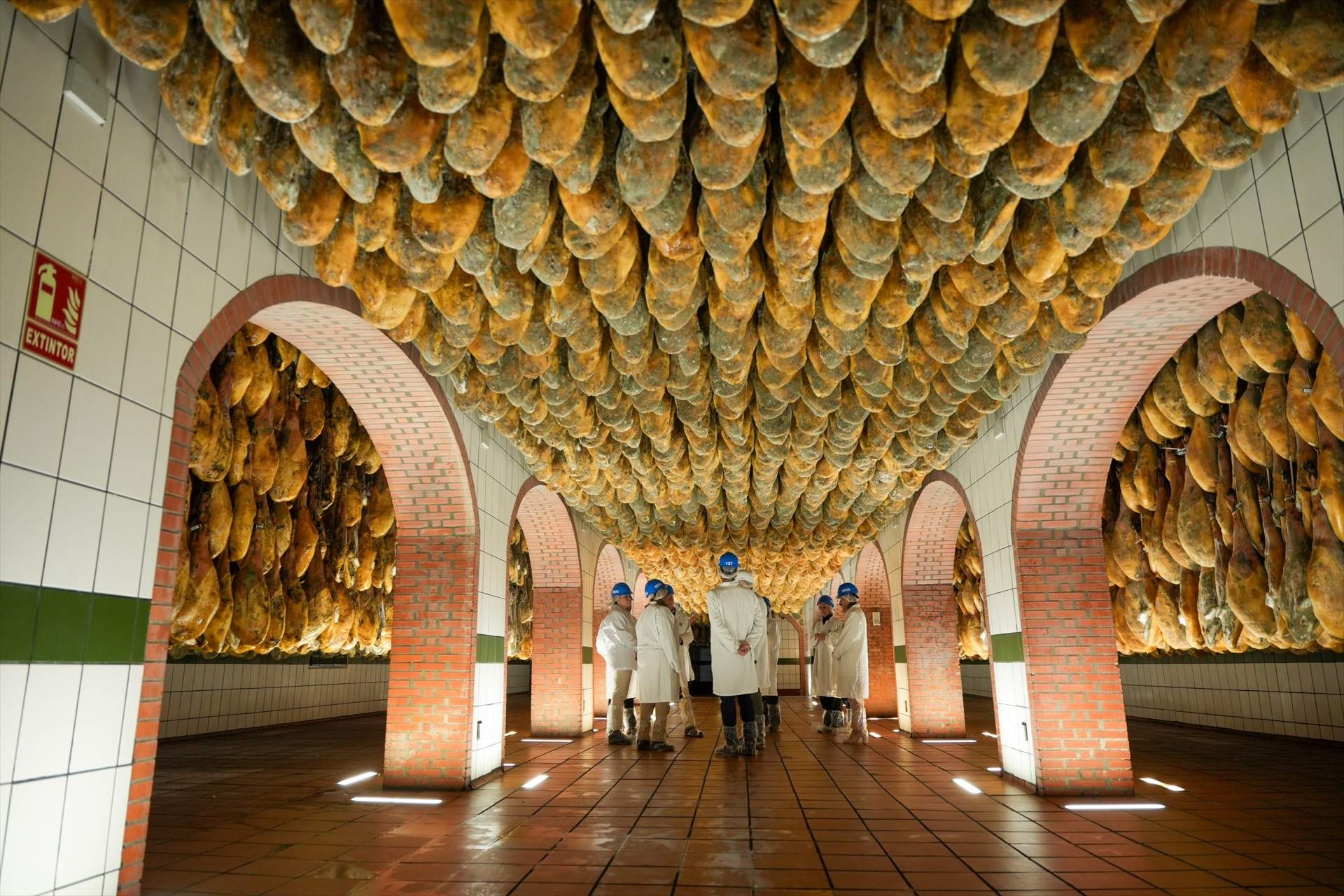 El jamón ibérico de bellota será más asequible esta Navidad