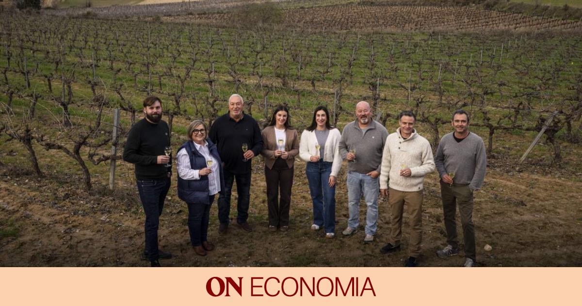 Celler Mir y Torné & Bel