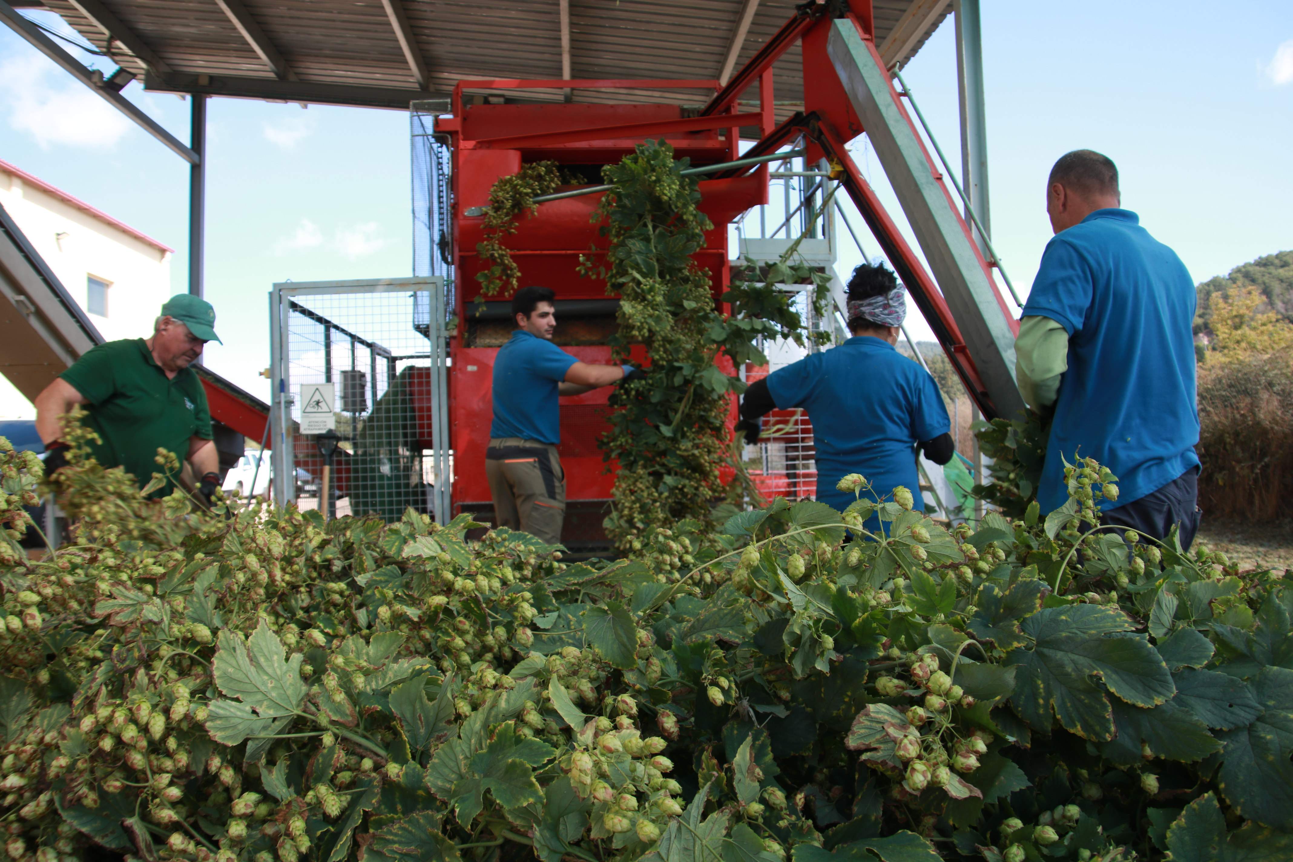 Les grans explotacions agràries reben el 30% de les ajudes de la PAC