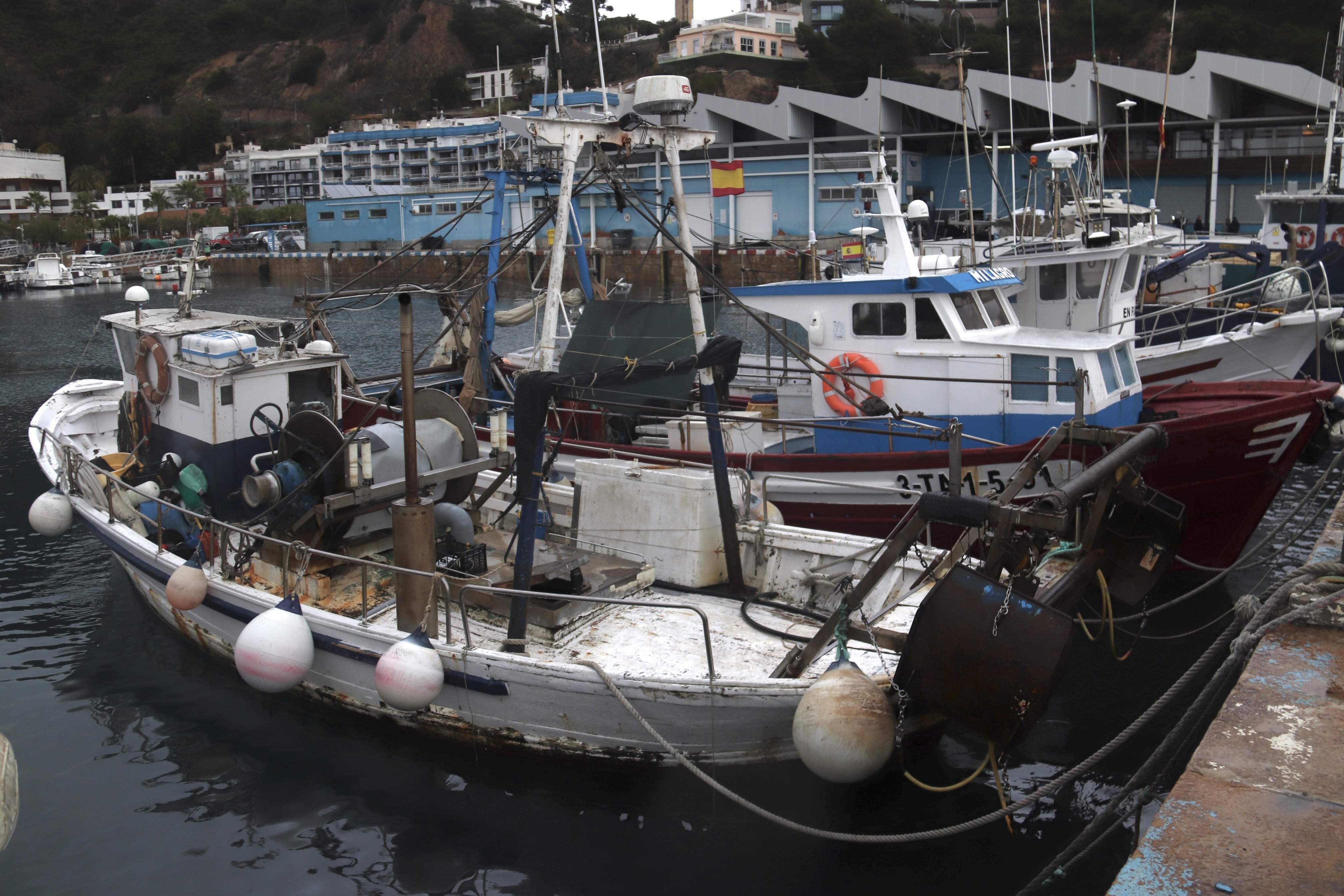 Brusel·les busca una solució tècnica per facilitar els pescadors la certificació digital de les captures