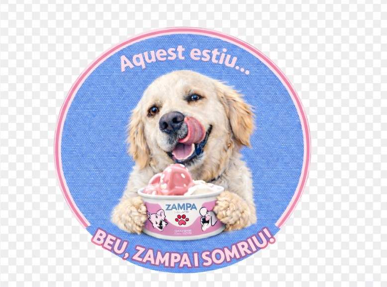 Promoció dels gelats per a gossos de la marca Zampa