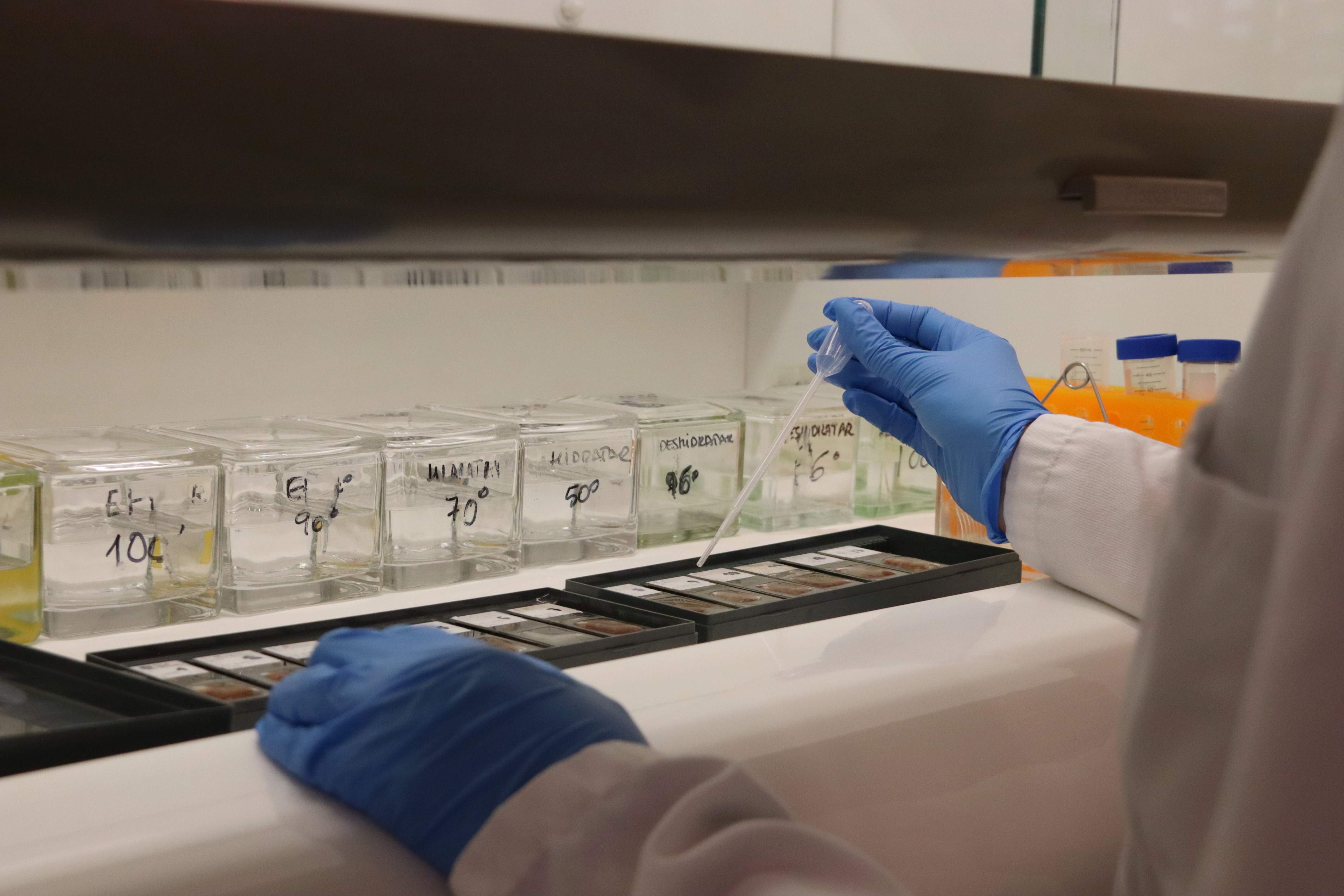 Catalunya lidera las patentes en el Estado y bate un nuevo récord con 754 solicitudes