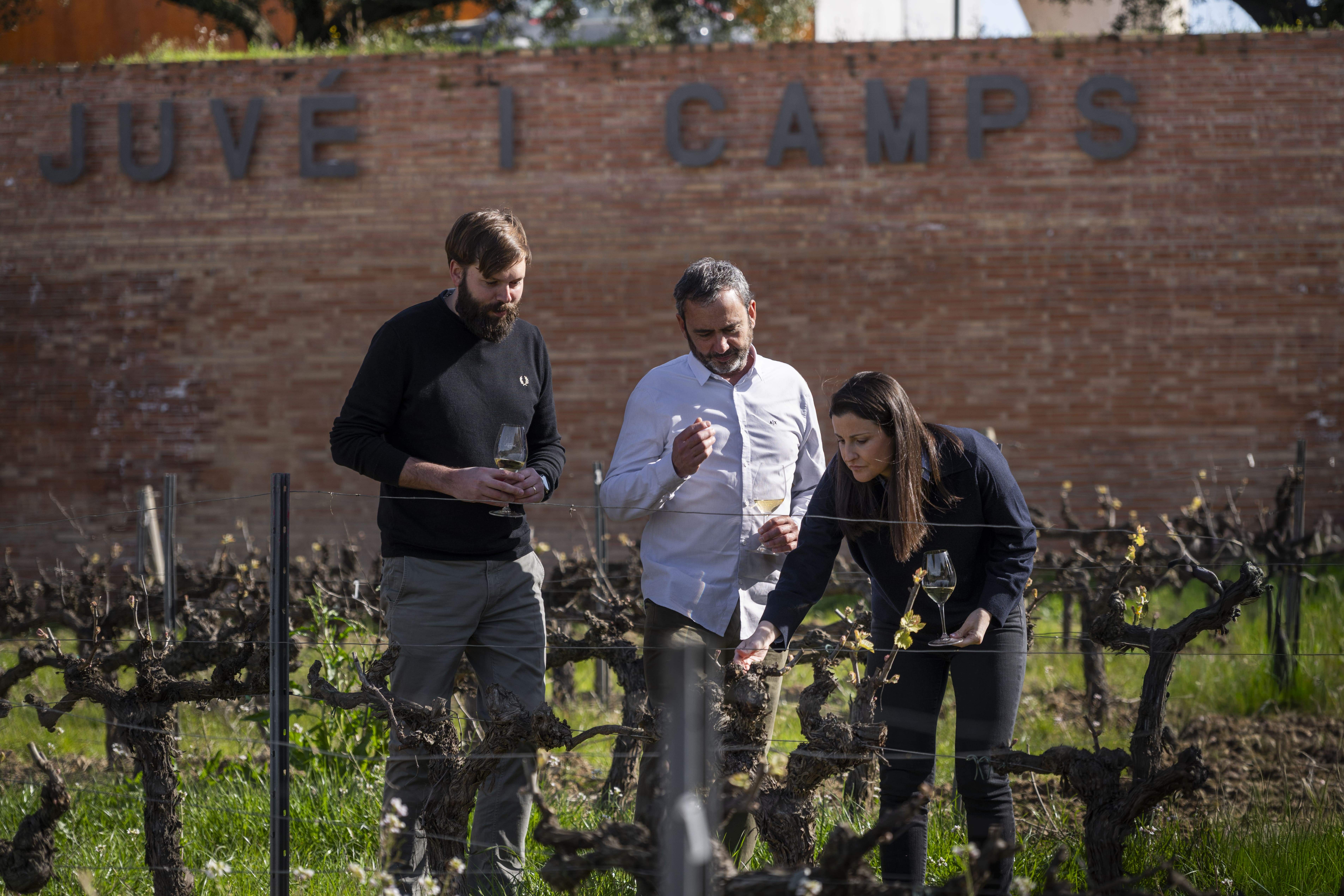 Juvé & Camps deja la DO Cava y se incorpora a Corpinnat por coherencia e imagen