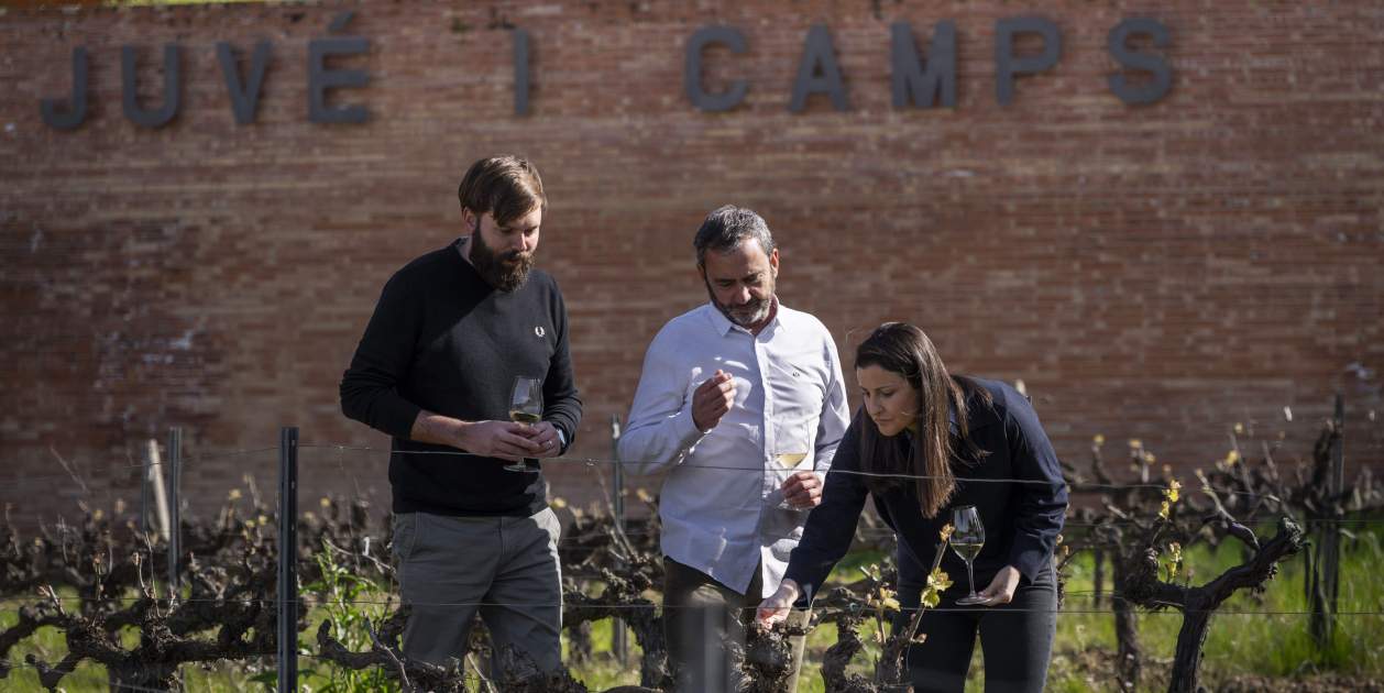 Juvé & Camps deja la DO Cava y se incorpora a Corpinnat por coherencia e imagen