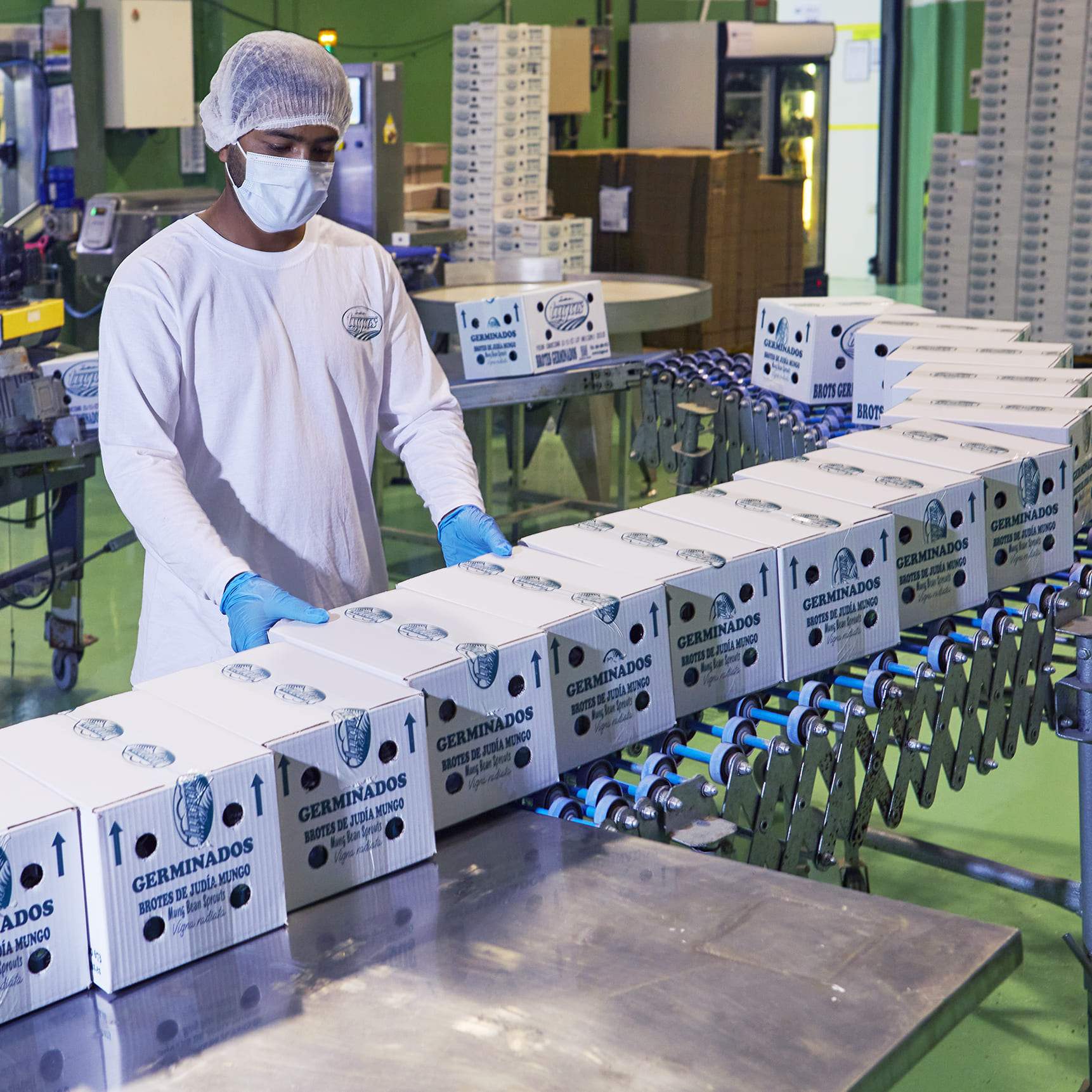 Línia de producció de germinats Tugas