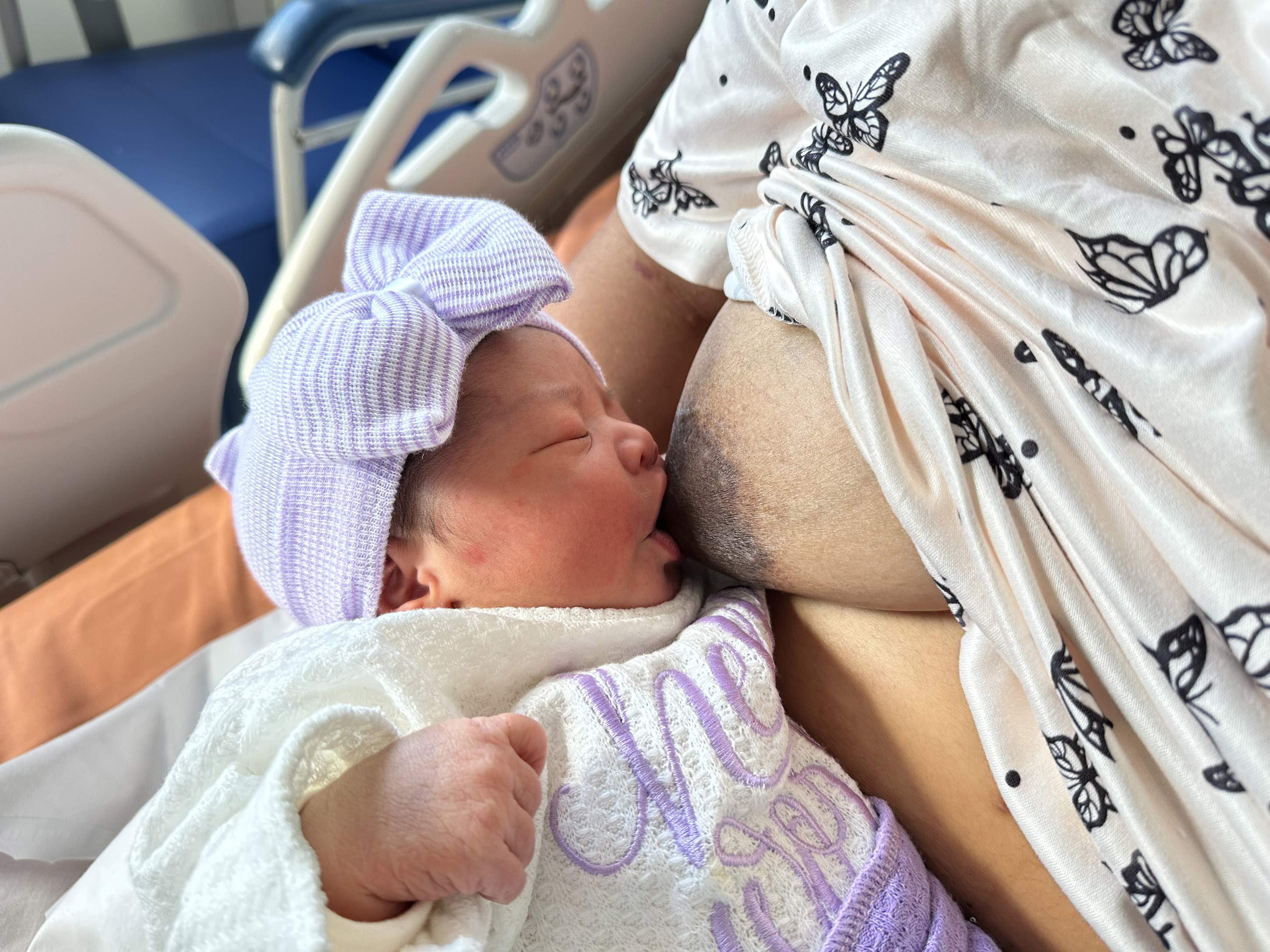 La Universitat de Vic utiliza la IA para prever la duración de la lactancia