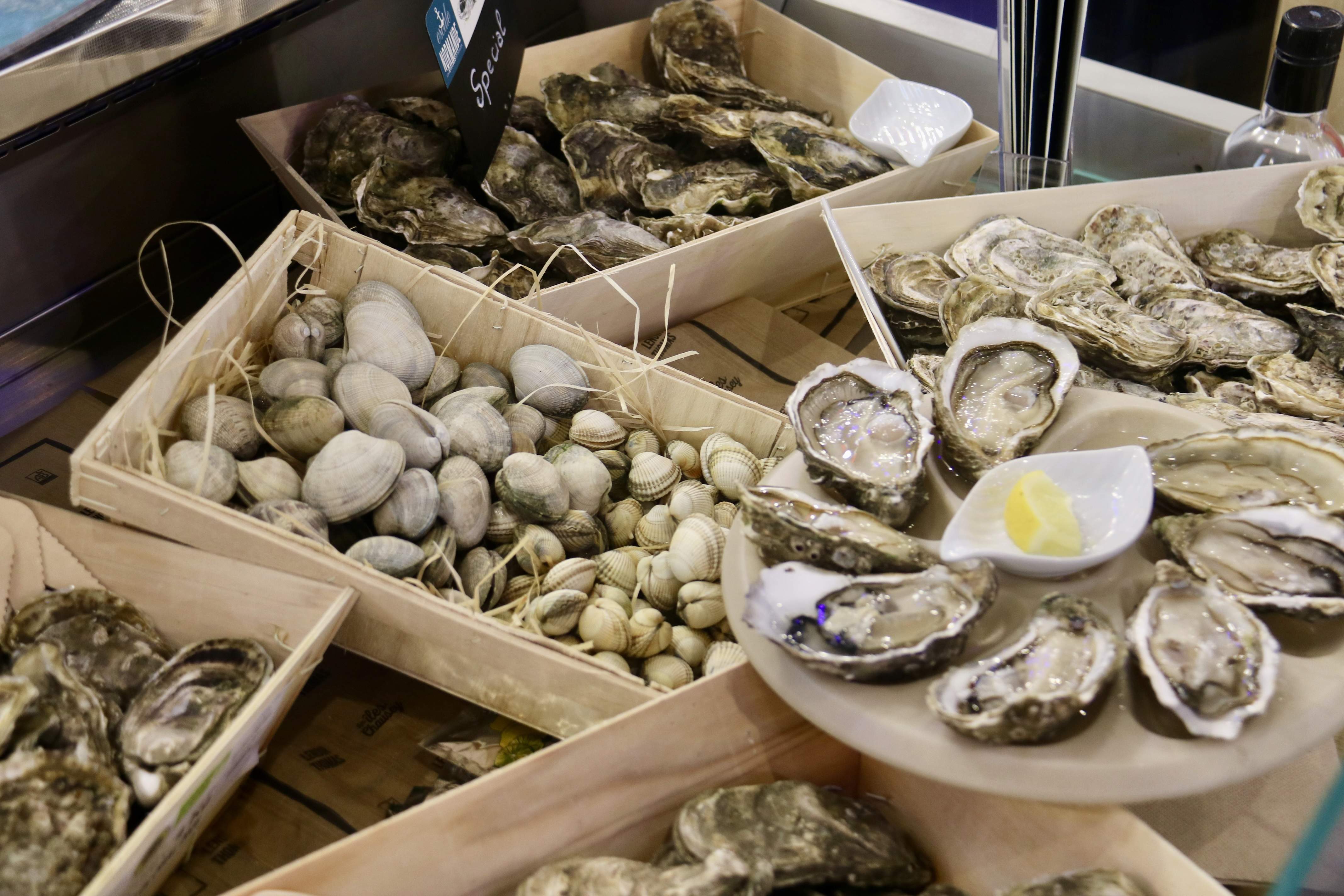 Més de 40 companyies catalanes, a l'aparador mundial del peix i el marisc