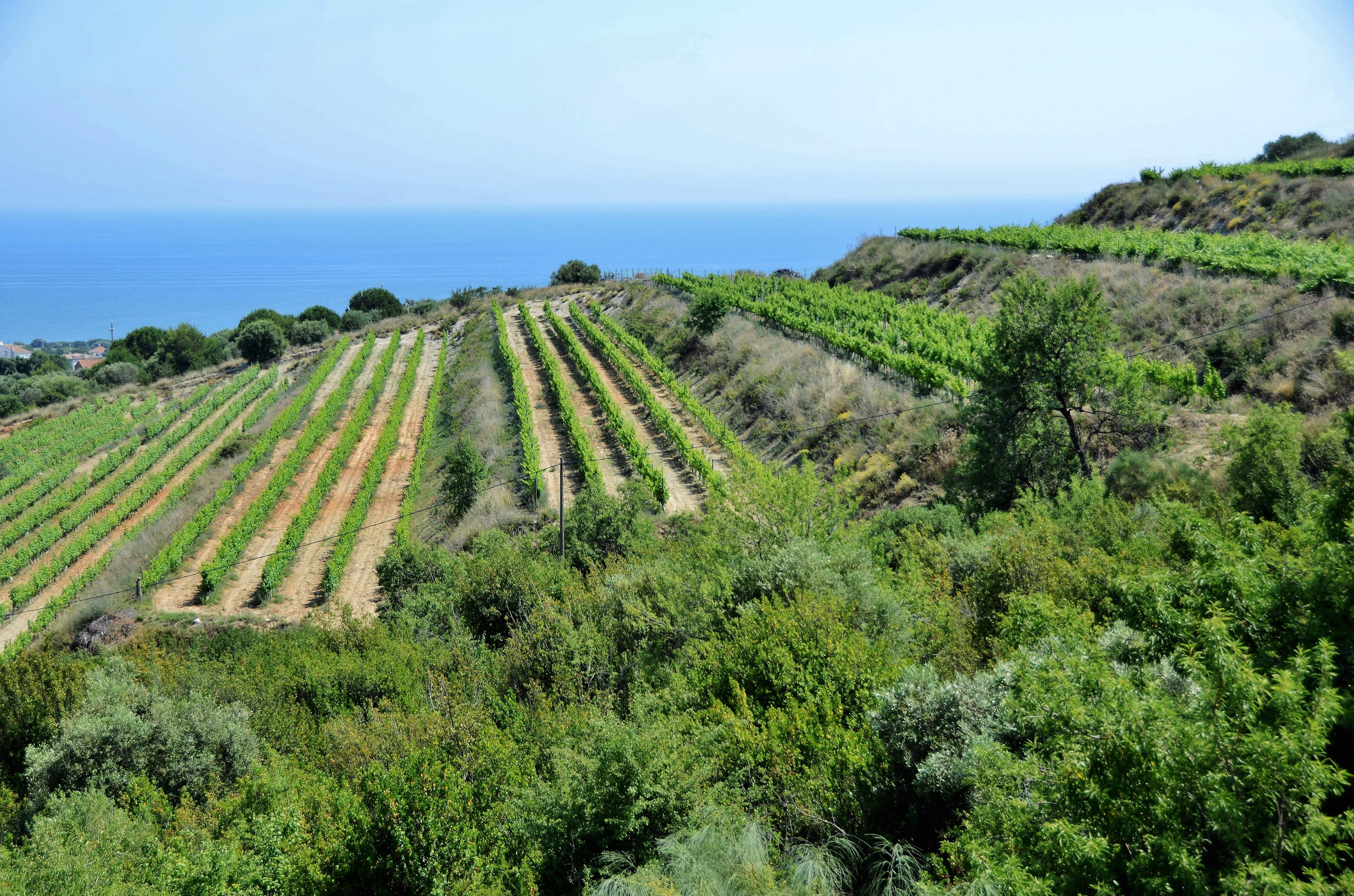 Este es el municipio más rico de Catalunya: tiene una renta por habitante de más de 35.000 euros