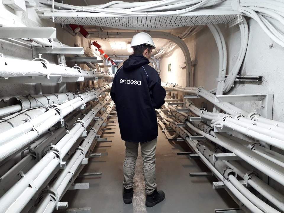 endesa1