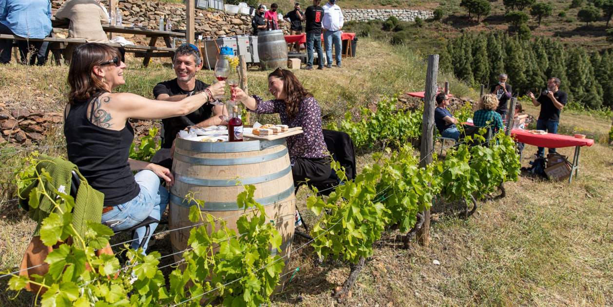 6 de cada 10 bodegas venden directamente más del 10% del vino a los visitantes