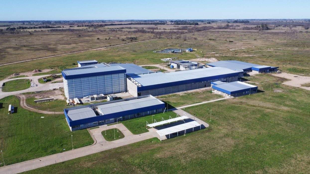 El gigante cárnico Vall Companys apuesta por Latinoamérica para blindar el crecimiento