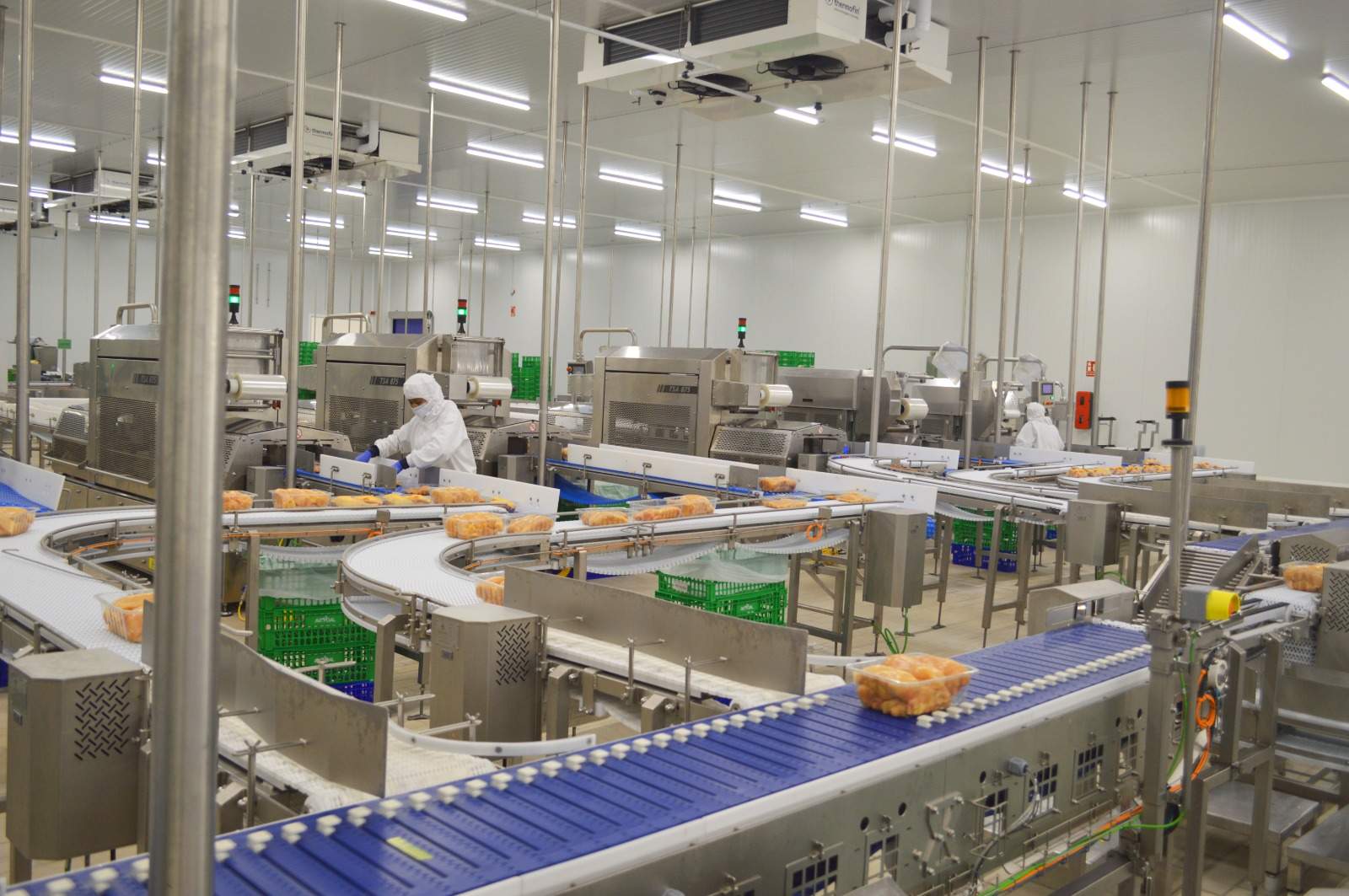 Vall Companys factura 4.626 millones y activa un plan de contingencia por la peste porcina