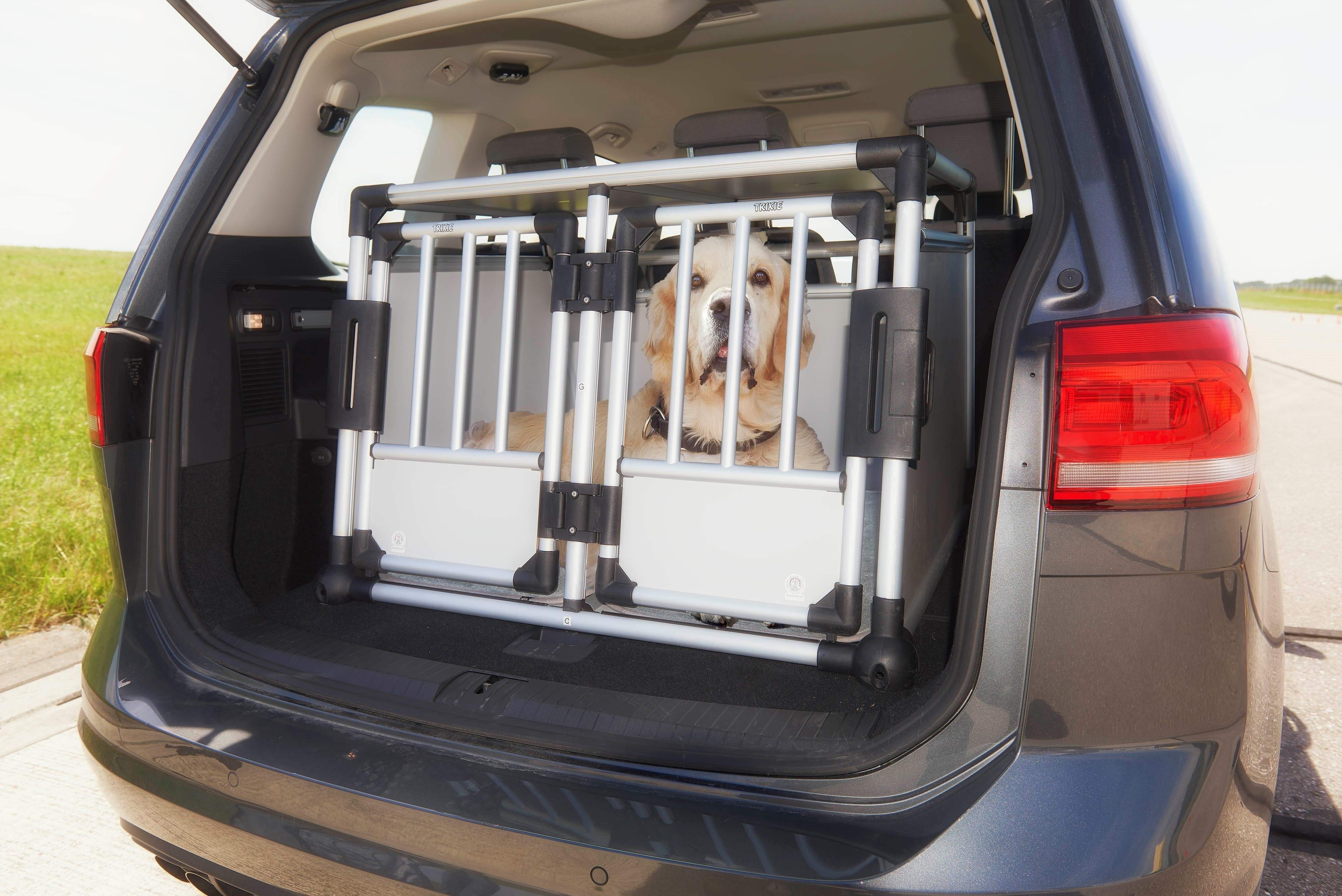 Esta es la cifra que te tienes que gastar para viajar con animales fuera de la UE