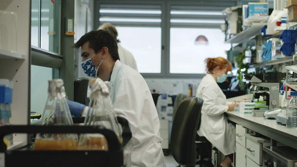 La biotecnològica Peptomyc capta 5,7 milions per combatre tumors cancerosos
