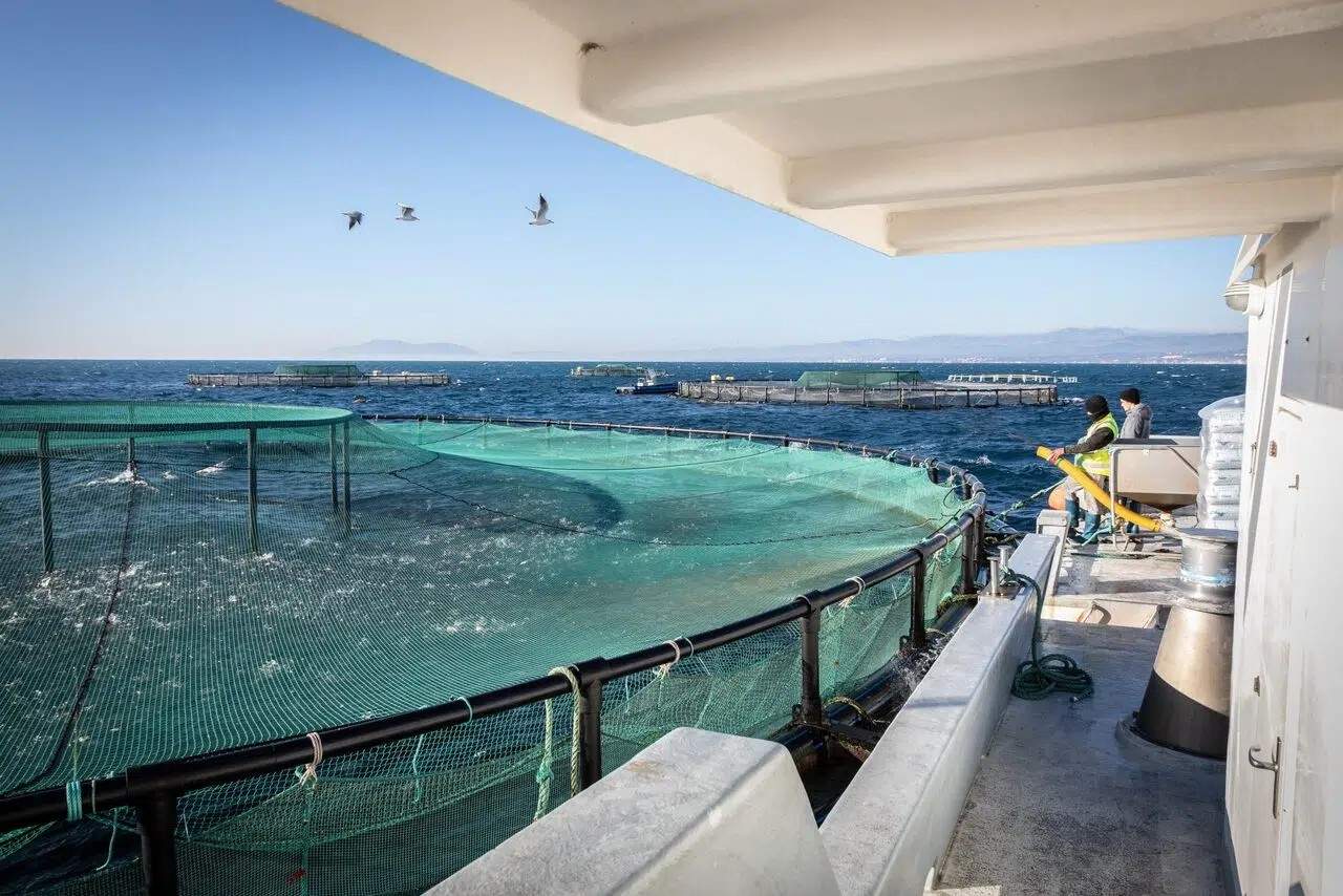 AiQuos aprofundeix en el monitoratge de la qualitat de l’aigua potable i altres líquids