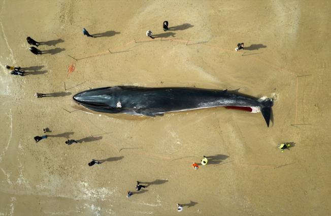 Bridlington (Reino Unido)
