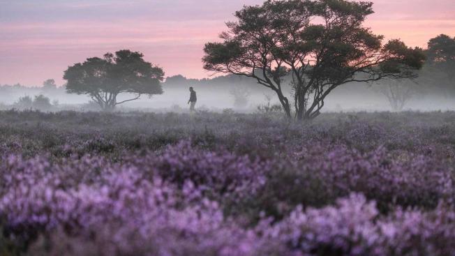 Hilversum (Paisos Baixos)