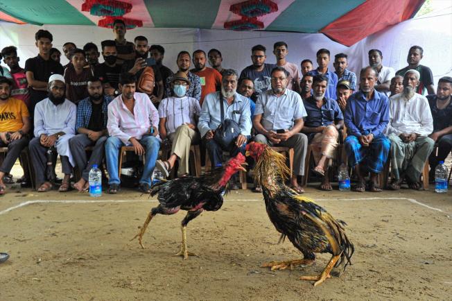 Sylhet (Bangladesh)