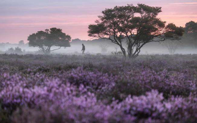 Hilversum (Paisos Baixos)