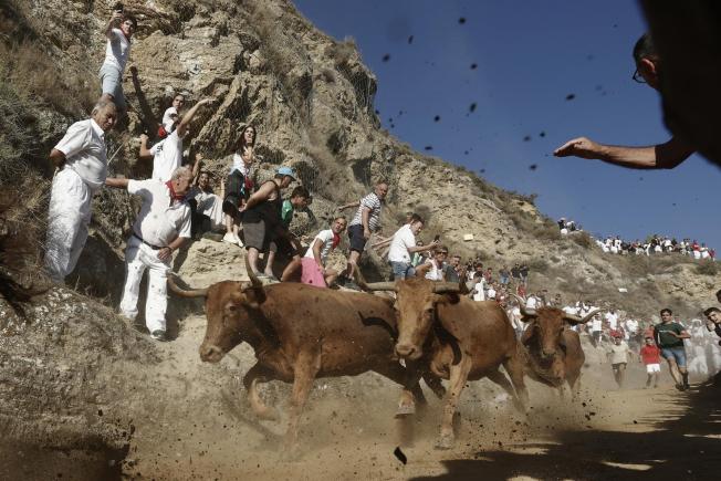 Pamplona (España)