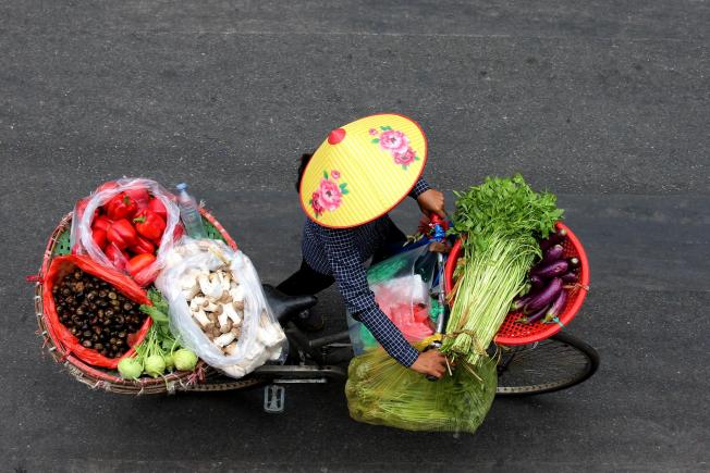 Hanoi (Vietnam)
