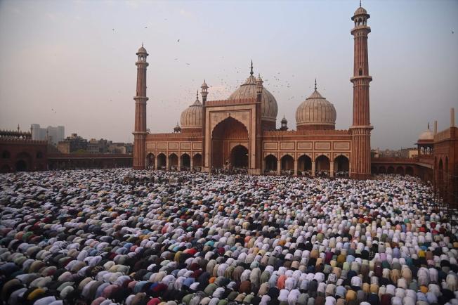 Delhi (India)