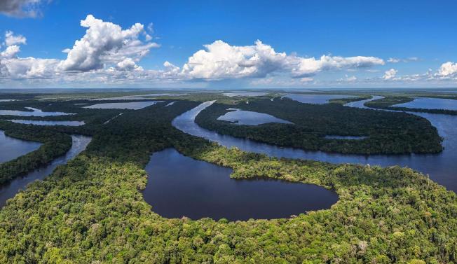 Novo Airão (Brasil)