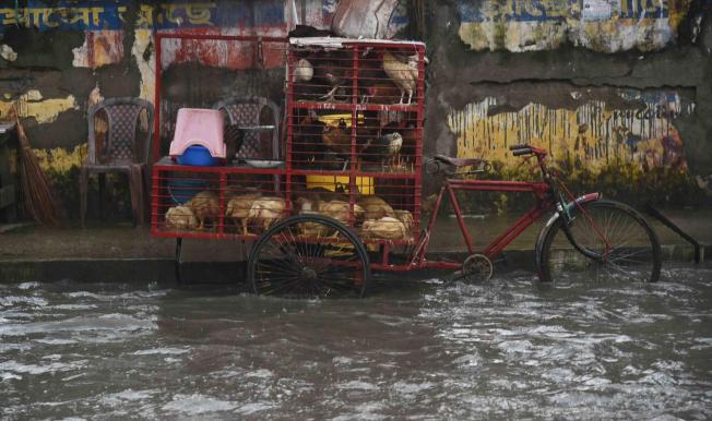 Guwahati (Índia)