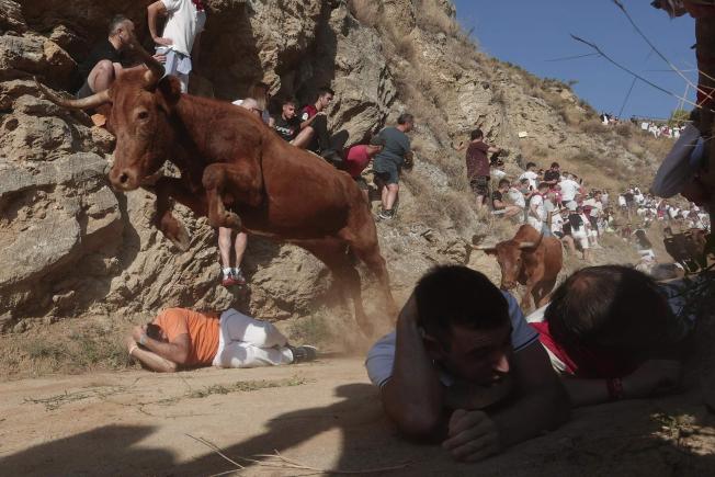 Falces (Navarra)