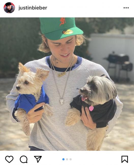 Justin Bieber con sus perros (Instagram)