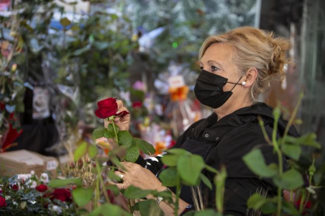 La rosa vermella, com sempre, la que més triomfa