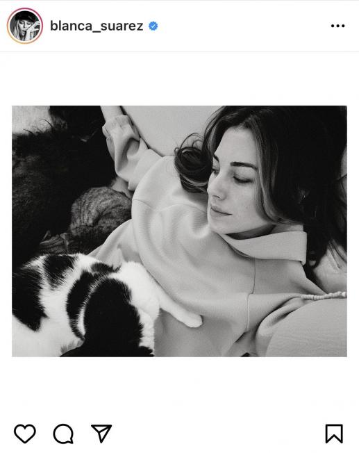 Blanca Suárez amb el seu gat (Instagram)