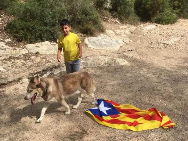 Des del Pont del Diable (Tarragona), la Maite, en David i Roi en envien aquesta fotografia