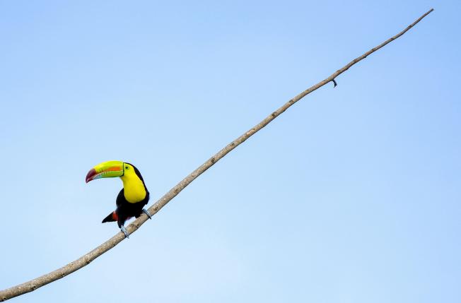 San José (Costa Rica)