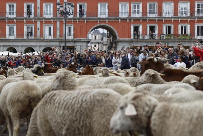 Madrid