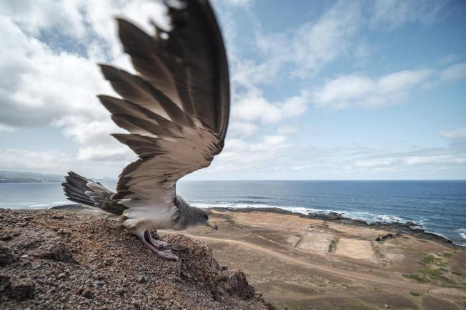 Las Palmas de Gran Canaria (España)