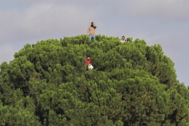 Quintanar del Rey (Conca)