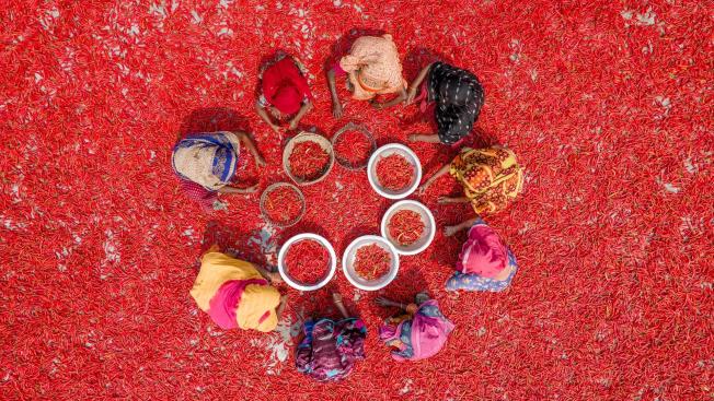 Bogura (Bangladesh)