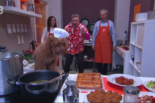 Chicote perro Polonia TV3