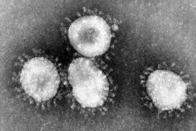 Coronavirus 2 (1)