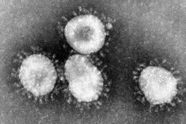Coronavirus 2 (1)