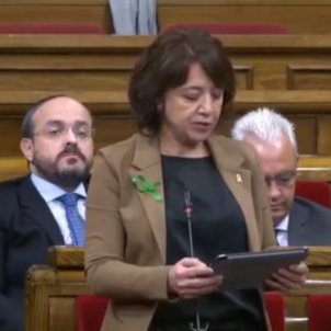 Anna Erra Parlament