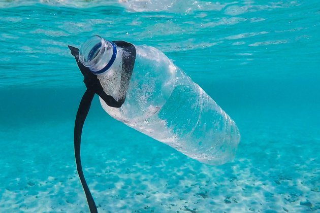 plastic mar unsplash