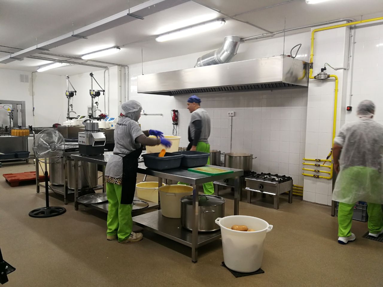 Espigoladors o cómo dar una segunda vida a las frutas y verduras "feas"